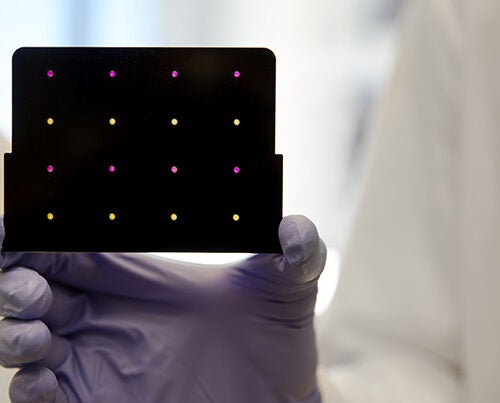A black cartridge containing a paper-based diagnostic for detecting the Zika virus is held up by a researcher at Harvard’s Wyss Institute. Areas that turn purple indicate samples infected with Zika, while yellow areas indicate samples that are free of the virus. 
