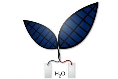 A new "bionic leaf" system uses solar energy to produce liquid fuel.