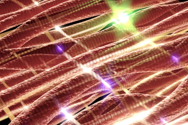 Construction of nanoscale electronic scaffolds that can be seeded with cardiac cells to produce a bionic cardiac patch. Pictured nanoelectronic scaffold (gold) with recording (purple) and stimulating (green) devices and cardiac tissue (red).