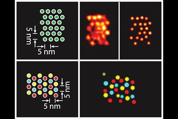 Schematics and DMI-generated super-resolution images of a pattern of individual signals (top) and three different target species within the same structure that have been visualized using Exchange-PAINT-enhanced DMI method. 
