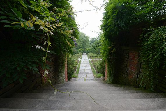 The grounds of Dumbarton Oaks Essdras M Suarez/© EMS Photography