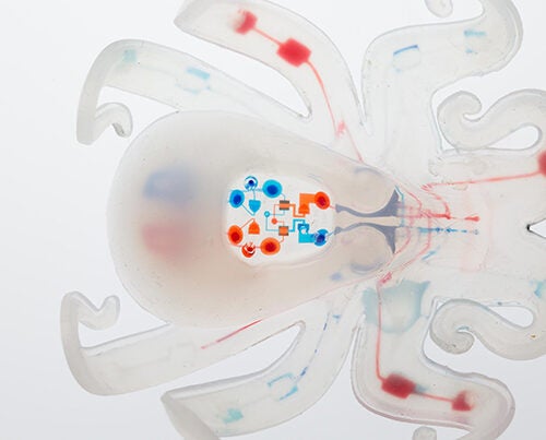 In lieu of rigid electronic parts such as batteries or circuit boards, the "octobot" uses a microfluidic logic circuit powered by hydrogen peroxide converted into gas when in contact with platinum.