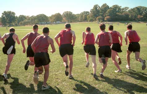 Harvard cross-country team