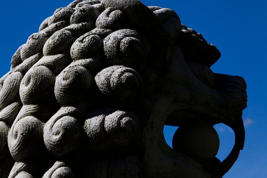 A Chinese lion stands guard in front of the Harvard-Yenching Library.