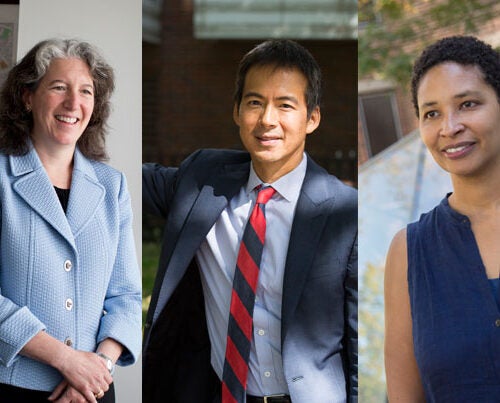 Meredith Weenick (from left), Archon Fung, and Danielle Allen are the co-chairs of a University-wide task force to examine issues of inclusion and belonging on Harvard’s increasingly diverse campus.