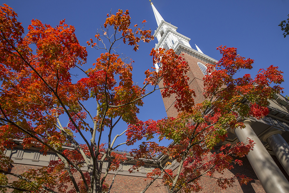 Memorial Church is framed by foliage. Kris Snibbe/Harvard Staff Photographer