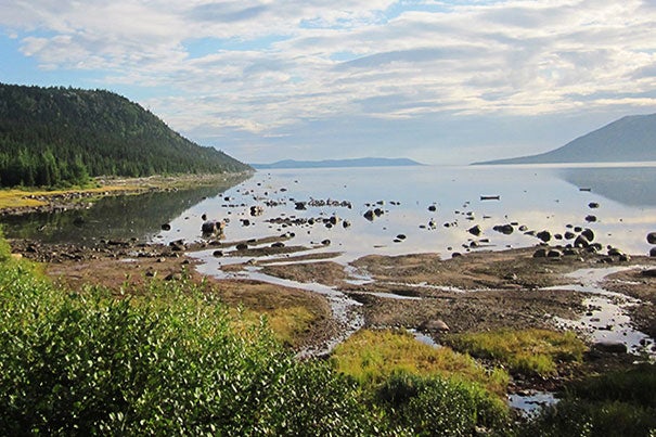 Lake Melville, downstream of the Muskrat Falls hydroelectric facility, is a source of food for the indigenous communities who live along its shores. Harvard researchers estimate that after the upstream region is flooded for the hydroelectric facility, average exposure to methylmercury in those communities will double. 