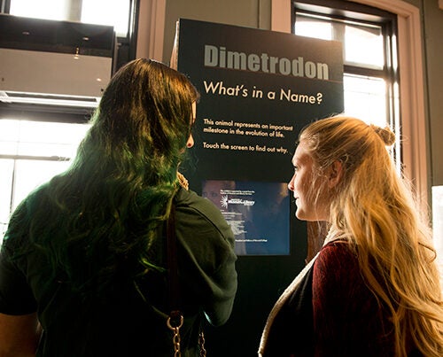 Ashley Fox (left) and Casey Lonabocker check out one of the four kiosks in the exhibit "What's in a Name?" at the Harvard Museum of Natural History. The exhibit's purpose is to clear up visitors’ confusion of scientific names through images, information, stories, and games. 