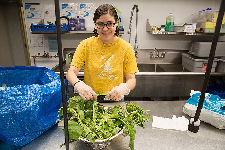 Isabel Parkey ’19 prepares freshly picked fall greens from the Harvard Community Garden on Mount Auburn Street. An effort is made to serve fresh vegetables and fruits in season. 