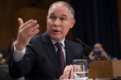 Robert Stavins, Albert Pratt Professor of Business and Government and director of the Harvard Project on Climate Agreements, anticipates that recently confirmed EPA Administrator Scott Pruitt (pictured) will pursue selective rollbacks of environmental regulations meant to combat climate change.