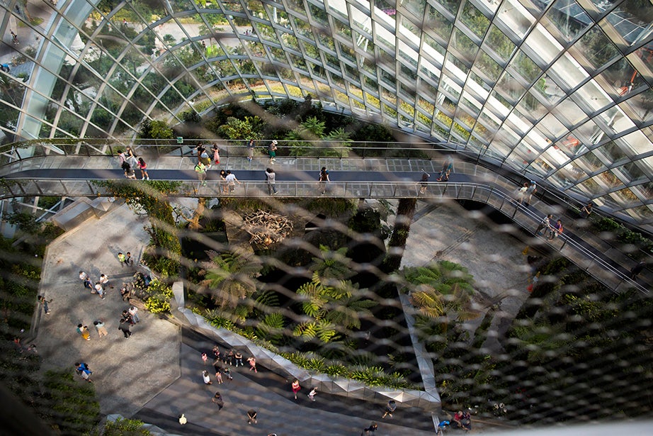 Visitors stroll along walkways that showcase plants and diverse vegetation from tropical highlands in the Cloud Forest of Gardens by the Bay in Singapore.