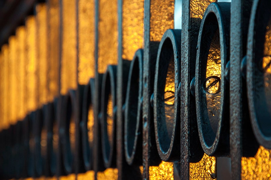 North Gates fence. Sunset turns the wrought iron into gold. 
