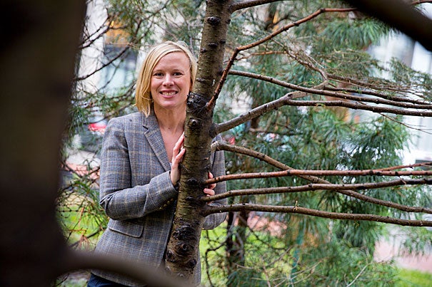 While earning her third degree in the Extension School's sustainability program, Amanda Rich began working on a proposal to plant trees in low-income neighborhoods as a way meet Boston’s carbon emissions reduction goals. 