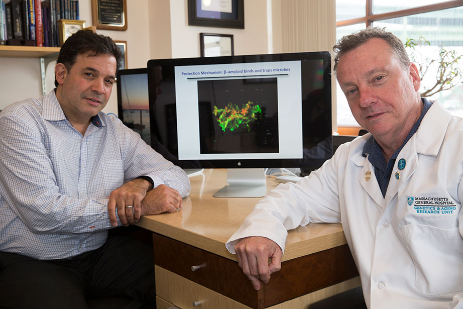 Probe of Alzheimer’s follows paths of infection — Harvard Gazette