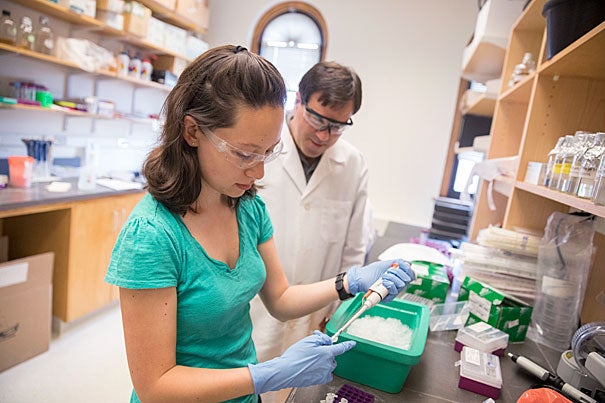 Terence Capellini, associate professor of human evolutionary biology, and Lyena Birkenstock '18 study a genetic mutation that favors shorter height but shows an increased risk for arthritis.