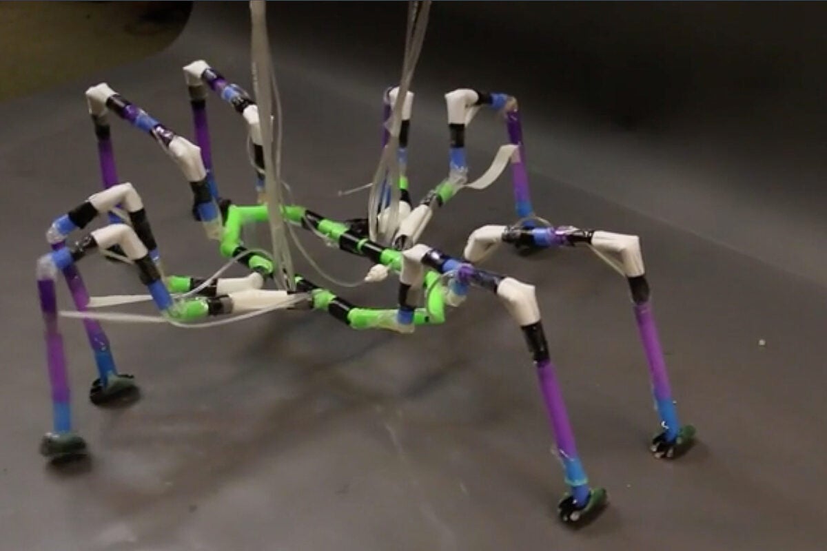Inspired by arthropod insects and spiders, scientists George Whitesides and Alex Nemiroski have created a type of semi-soft robot capable of walking, using simple materials such as drinking straws and inflatable tubing.