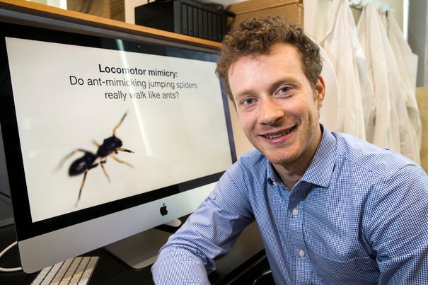 Paul Shamble, John Harvard Distinguished Science Fellow, has done research on how a particular species of spider mimics the behavior of ants to camouflage itself from predators.