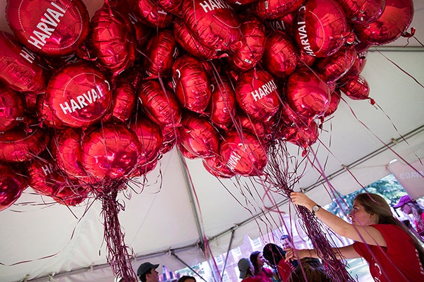 Early on move-in day, Jessika Nebrat ’18 gathers balloons to mark the freshmen residences in Harvard Yard. 