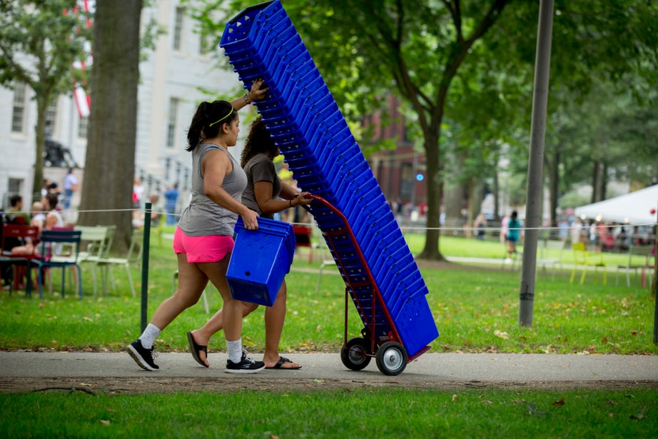 Transporting recycling bins is a balancing act. Rose Lincoln/Harvard Staff Photographer