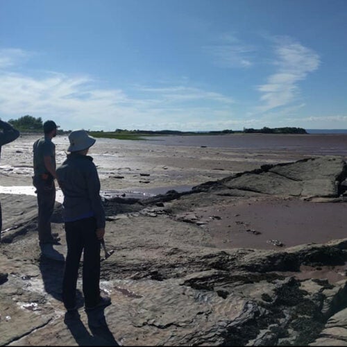 Stephanie Pierce, Chris Capobianco, and Blake Dickson survey the Bay of Fundy at Blue Beach, Nova Scotia. 