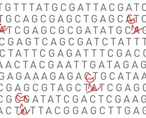 Harvard and Broad Institute researchers have developed a DNA base editor that transforms A•T base pairs into G•C base pairs, and could one day be used to treat many common genetic diseases.