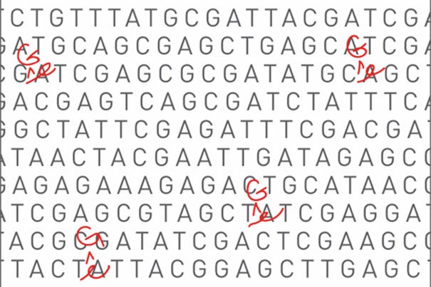 Harvard and Broad Institute researchers have developed a DNA base editor that transforms A•T base pairs into G•C base pairs, and could one day be used to treat many common genetic diseases.