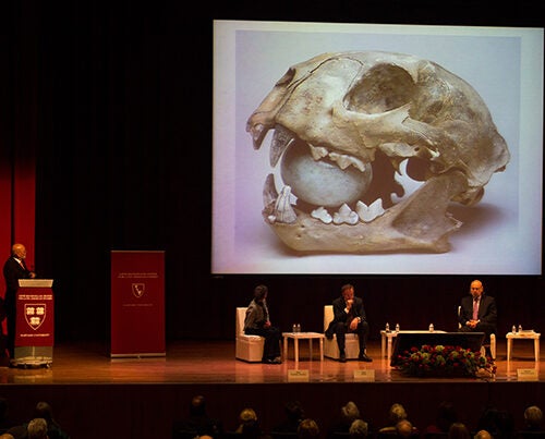 Eduardo Matos Moctezuma discusses discoveries at Templo Mayor in a lecture the National Museum of Anthropology in Mexico City.