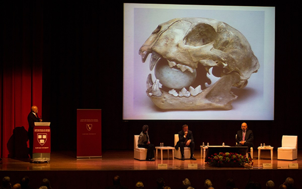 Eduardo Matos Moctezuma discusses discoveries at Templo Mayor in a lecture the National Museum of Anthropology in Mexico City.