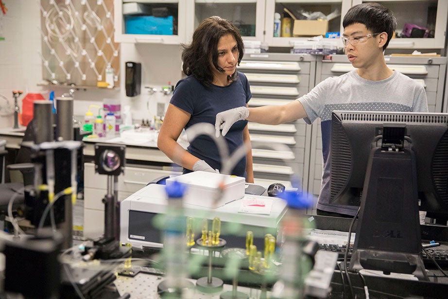 Researchers measure the absorption of light in a fluid sample using a UV-visible spectrometer in the LEED Gold-certified Weitz Lab. Shima Parsa (left) is a postdoctoral candidate and Zhehan Zhong is a fellow in applied physics
