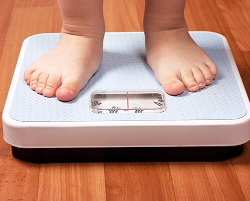 A new study from the Harvard Chan School estimates that more than half of U.S. children that were between the ages of 2–19 in 2016  will be obese by age 35.
