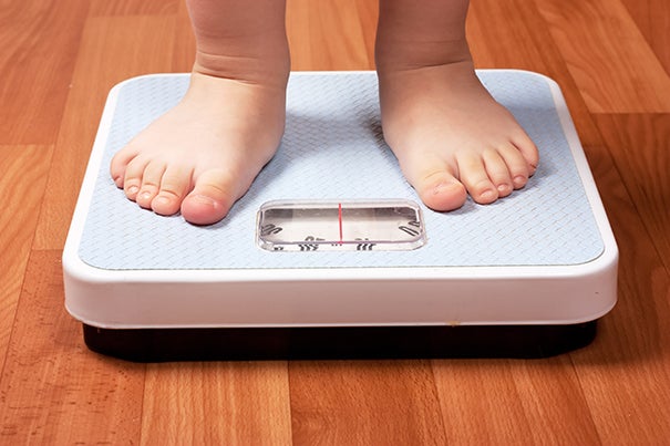 A new study from the Harvard Chan School estimates that more than half of U.S. children that were between the ages of 2–19 in 2016  will be obese by age 35.