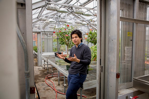 Kelsey Sakimoto, postdoctoral fellow with the Center for the Environment, is exploring how to use the sun to enrich soil with an artificial leaf and engineered bacteria. 