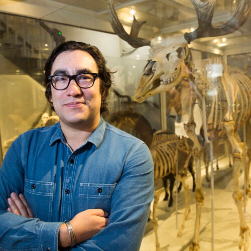 Tristan Ahtone, pictured in the Harvard Museum of Natural History, is the fourth Native American journalist selected as a Nieman Fellow since the Nieman Foundation was established in 1938. 