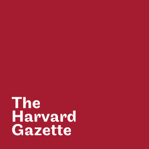 Taking a stride toward synthetic life – Harvard Gazette