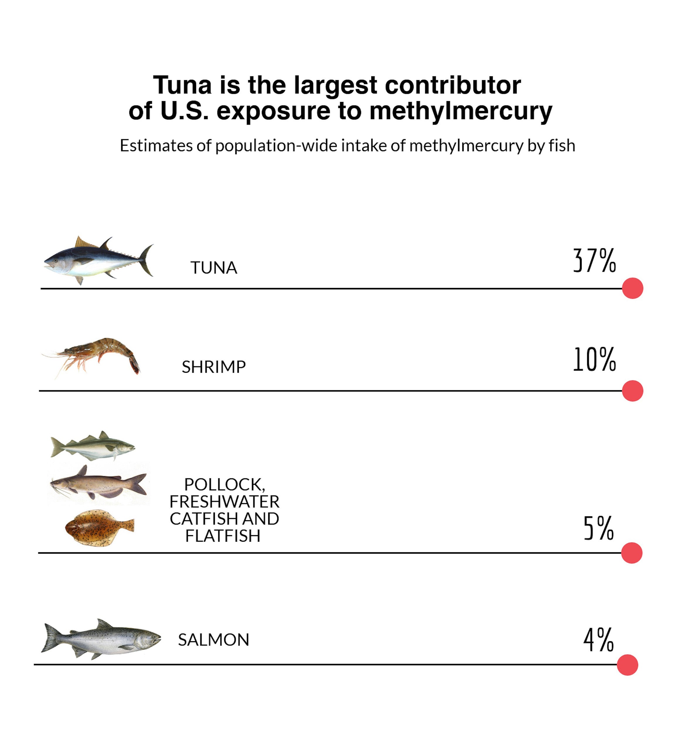 Mercury Levels In Fish Chart