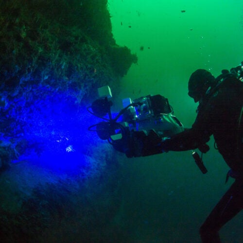 David Gruber films bioflourescence underwater.