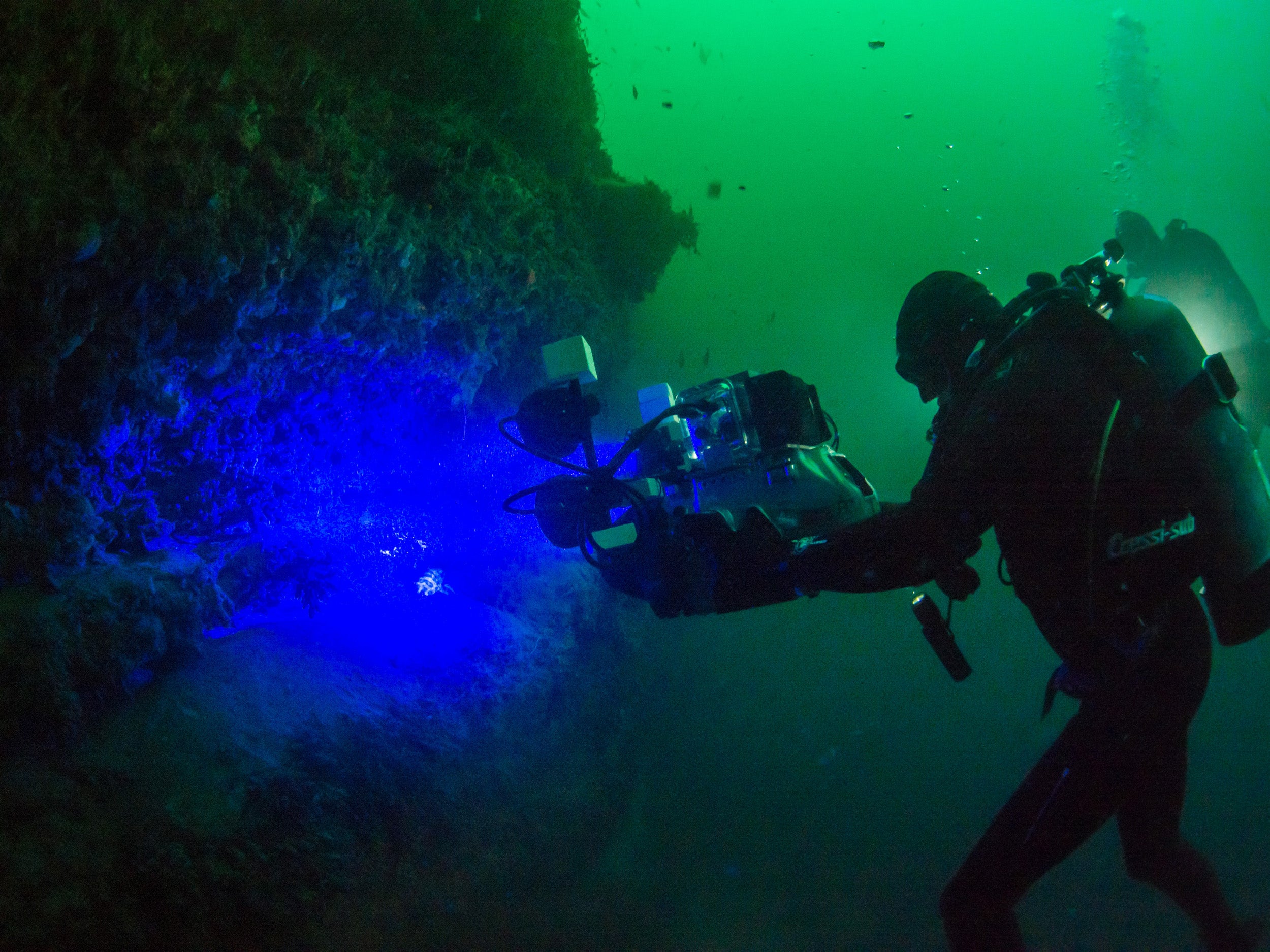 David Gruber films bioflourescence underwater.
