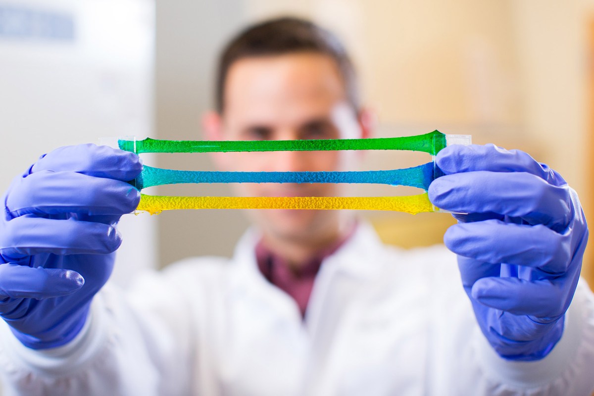 Wyss Institute creates hydrogel adhesives to seal wounds Harvard Gazette