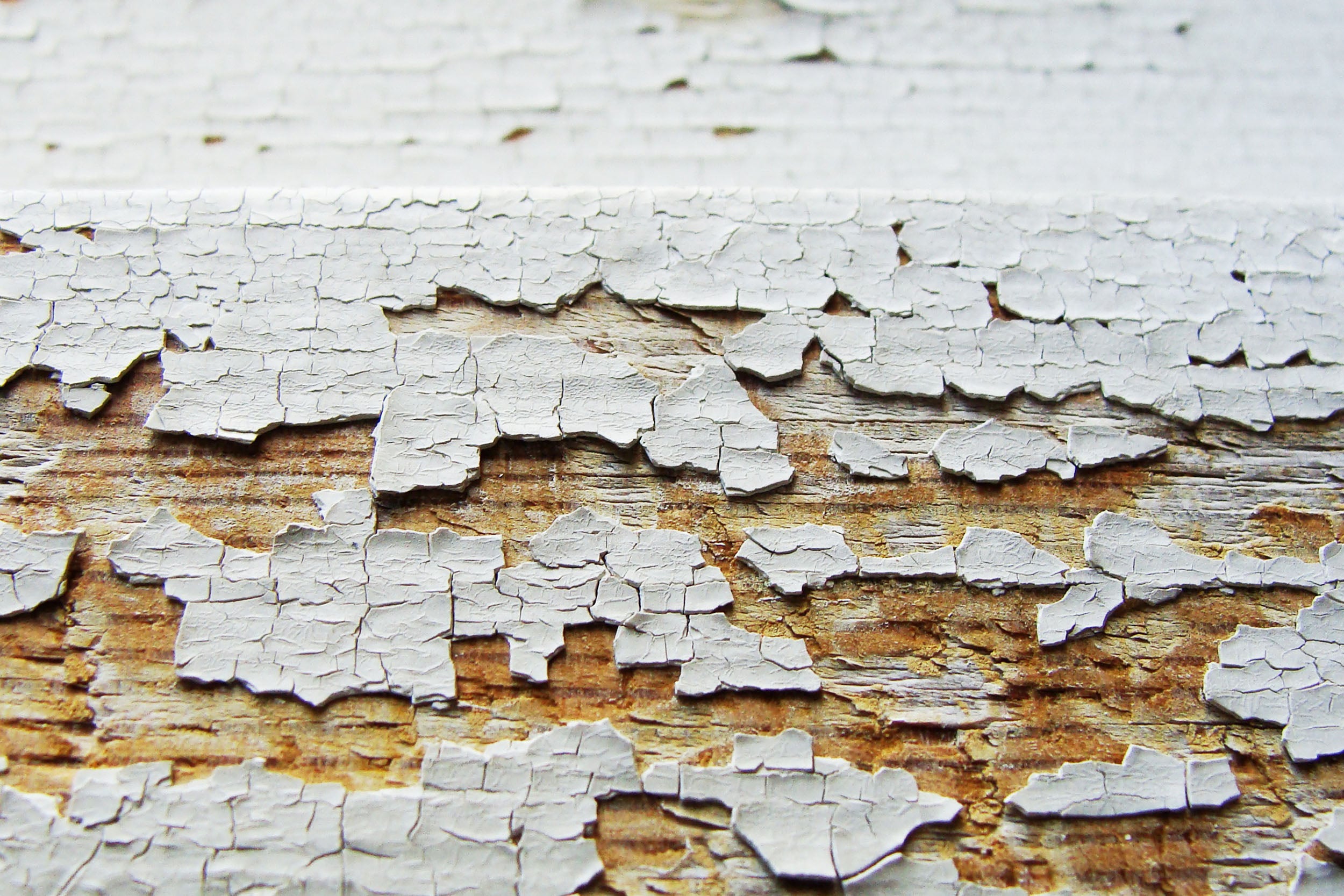 How To Get Lead Poisoning From Paint Visual Motley