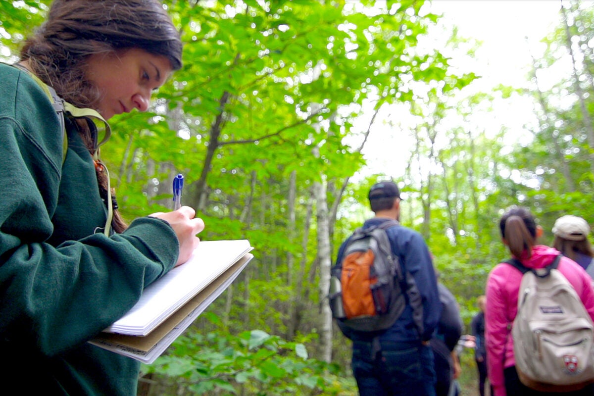 A student in the Extension School's Sustainability Program takes notes during a tour of Harvard Forest in Petersham, Mass. The program has seen rapid growth in the last decade as climate change becomes a greater threat.