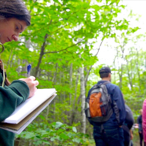 A student in the Extension School's Sustainability Program takes notes during a tour of Harvard Forest in Petersham, Mass. The program has seen rapid growth in the last decade as climate change becomes a greater threat.