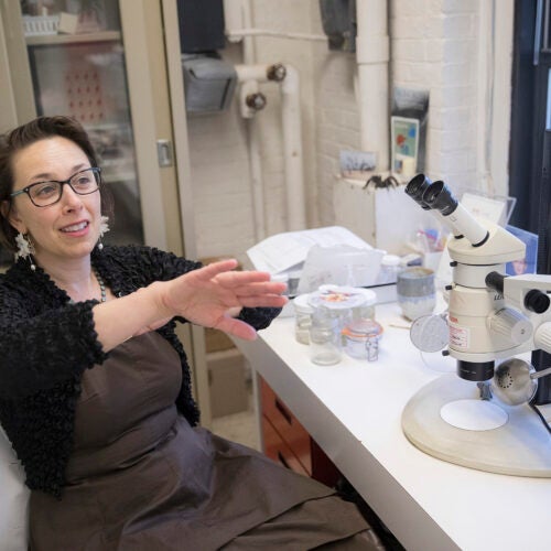 Sarah Kariko is the lead author of a new study that examines how a red, jewel-like spider gets its color and why it doesn't fade when preserved in ethanol.
