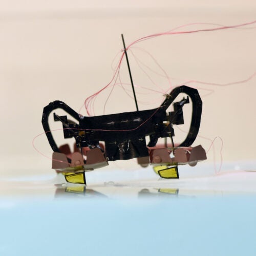 Harvard’s Ambulatory Microrobot.