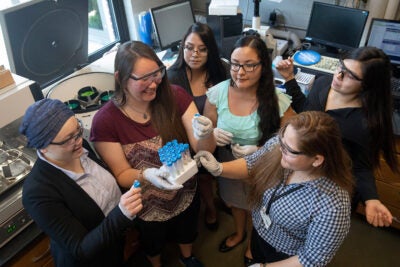 Native American undergrads Kylie Ray Lee (clockwise from left), Naomi Redfield, Racquel White, Trisheena Kills Pretty Enemy, Dominique Pablito, and Chelsea Draper took part in SEAS' Summer Research Experience program
