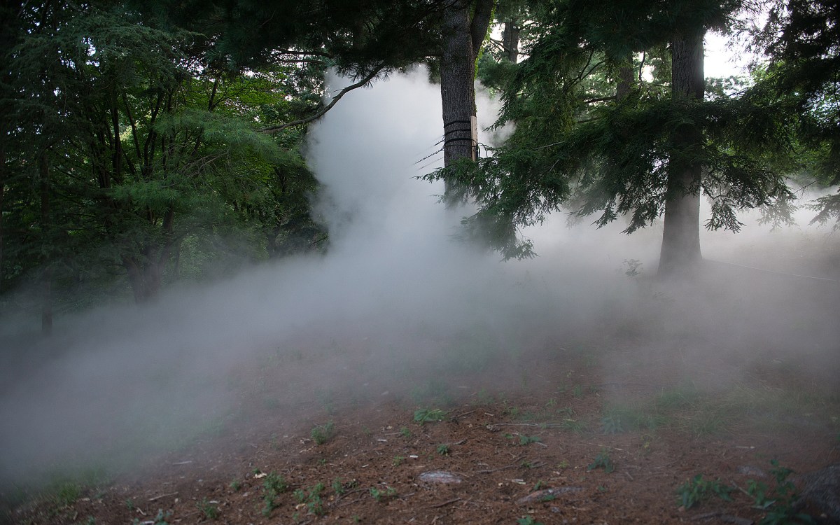 Fujiko Nakaya's Fog x Hill at the Arnold Arboretum.