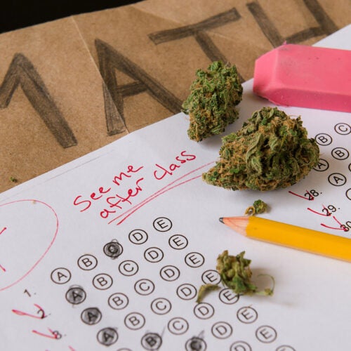 Cannabis on a failed test paper