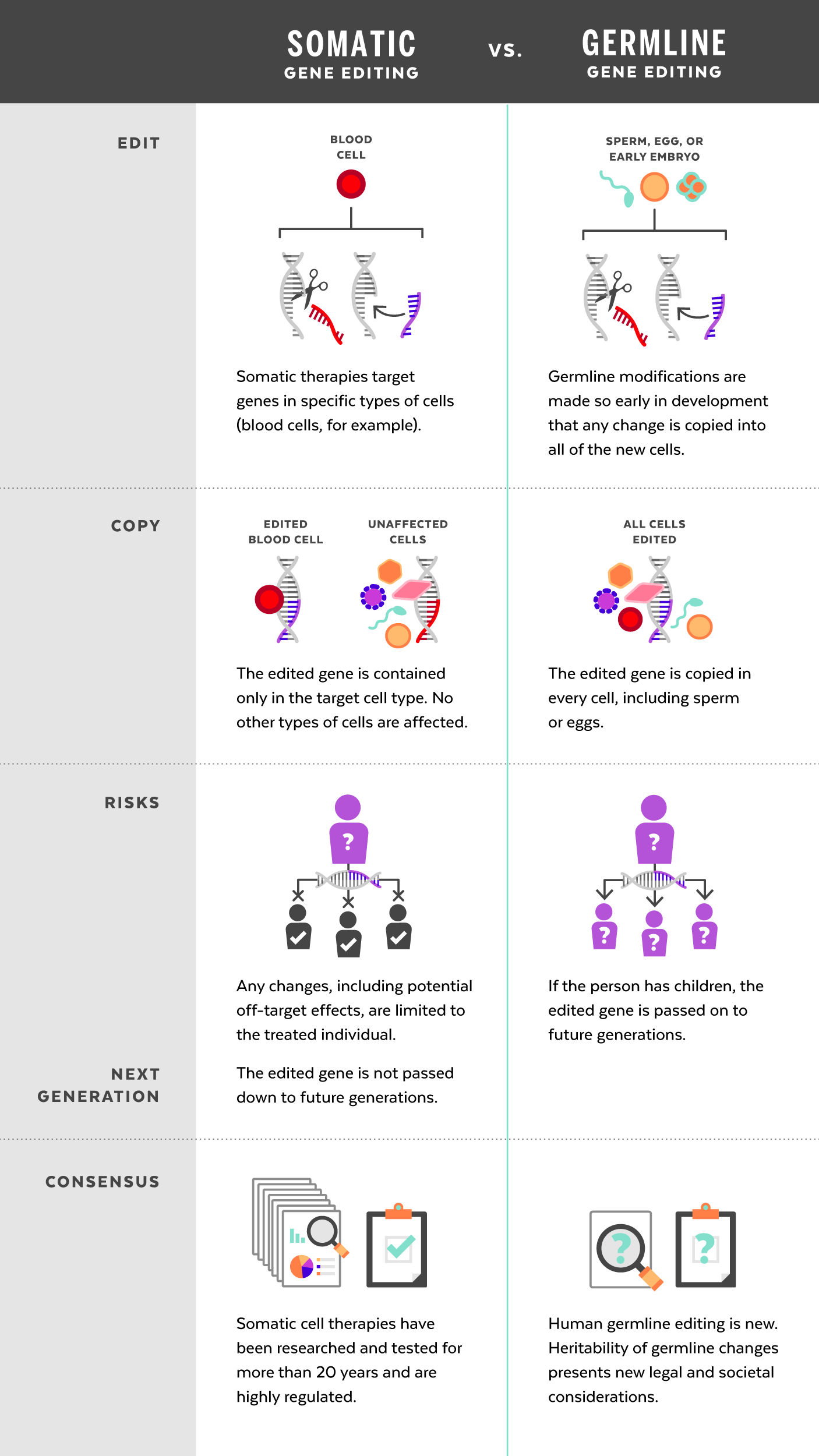 Harvard Researchers Share Views On Future Ethics Of Gene Editing Harvard Gazette