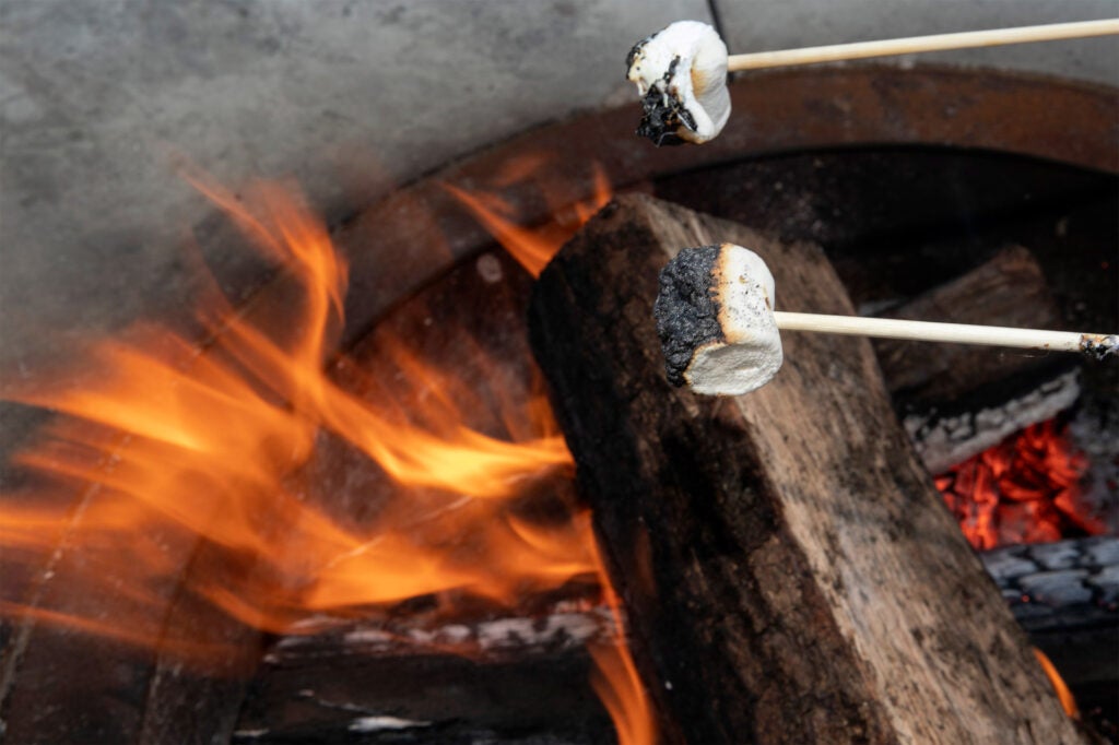 Marshmallows roasting on a fire