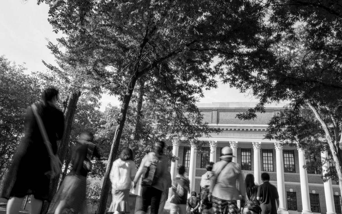 Visitors walk the path from Memorial Church toward Widener Library.