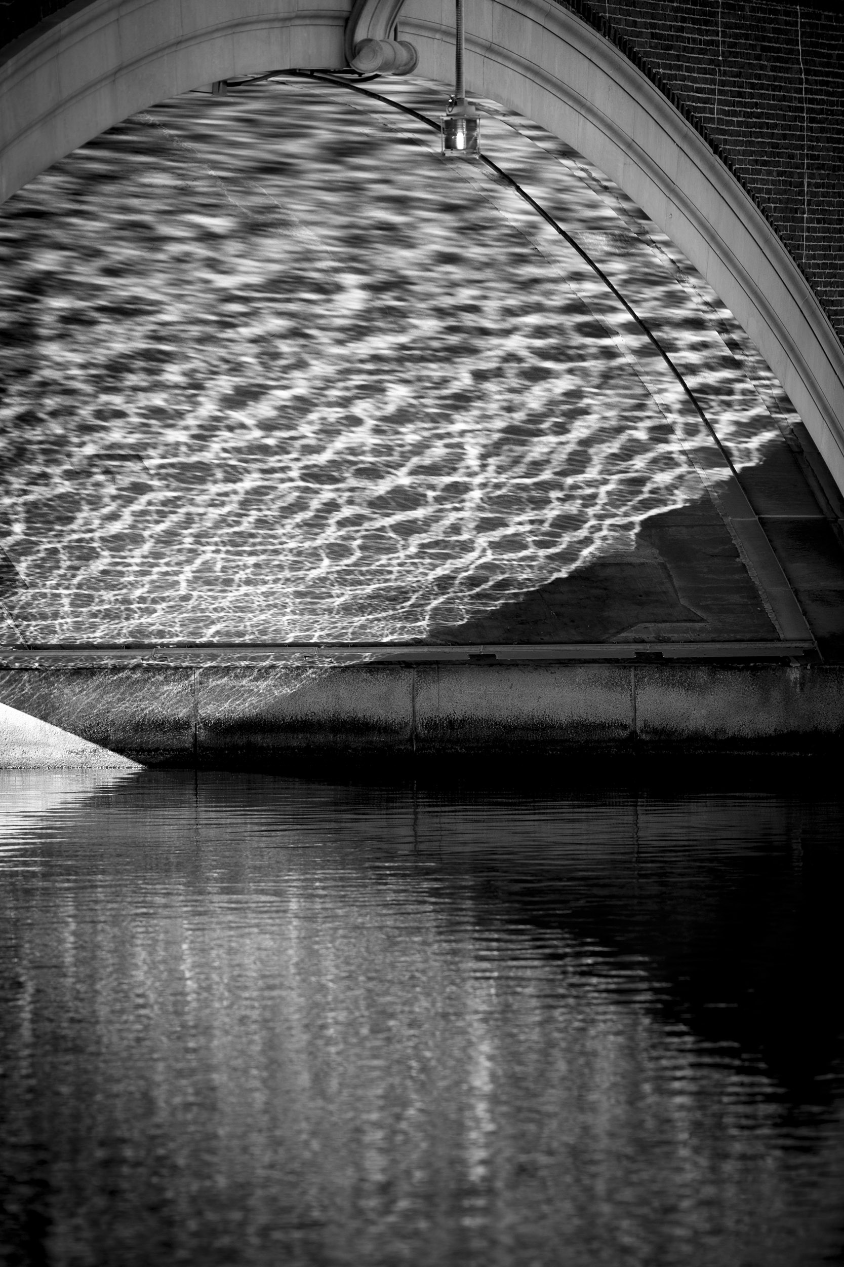 Harvard photographer shows stillness in motion — Harvard Gazette